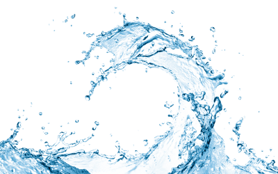 Tehnologia Hidroponică