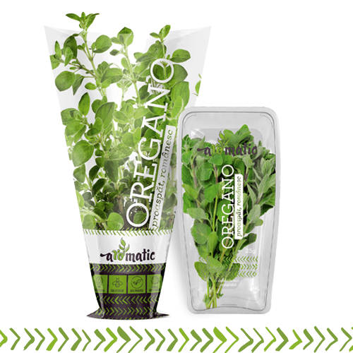 Oregano